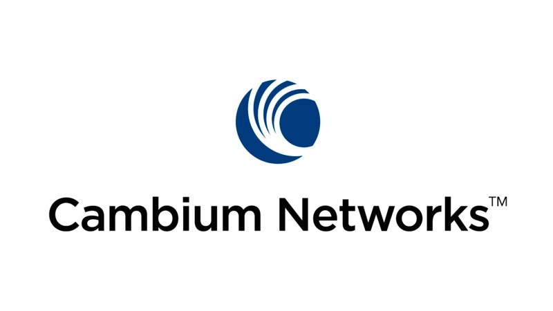 cambium